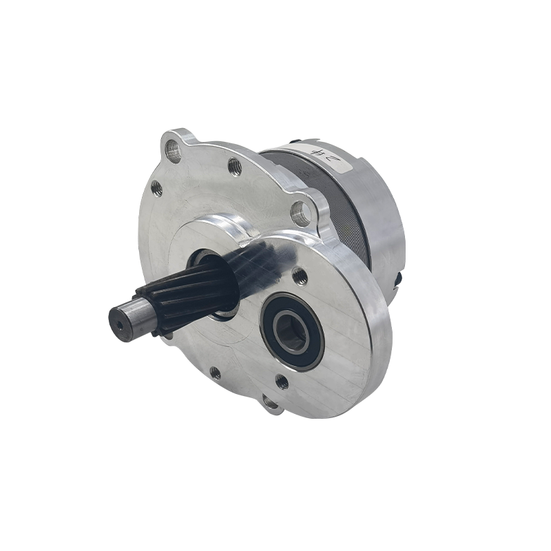 Gear Eccentric Motor Brushless Motor Motor Rendah Torsi Penghantaran Tinggi Untuk Kerusi Roda Dan Golf Troli W8080EC