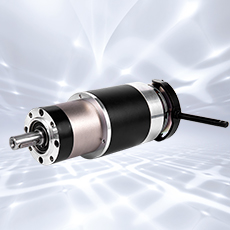 Motor gear